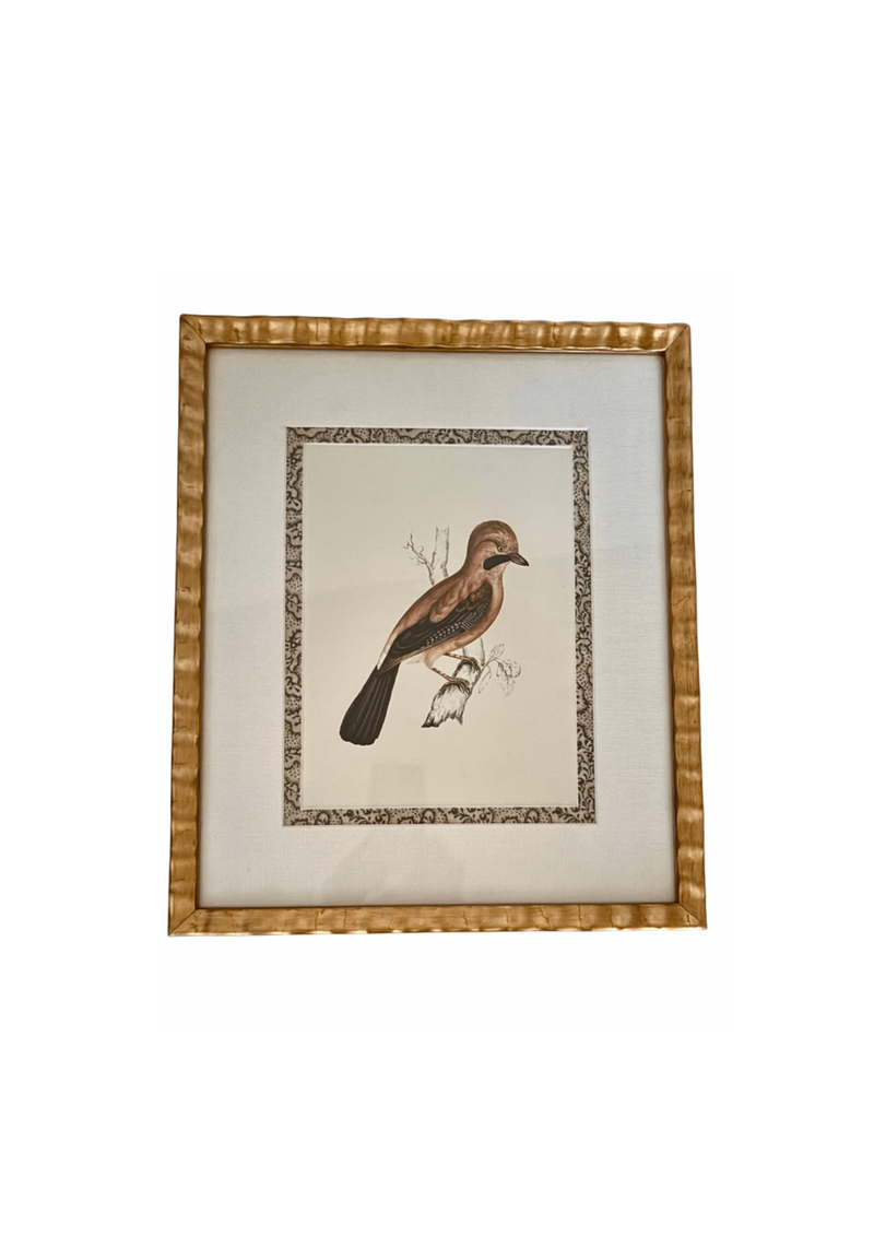 Antique French Grouse Print With Block Print Border