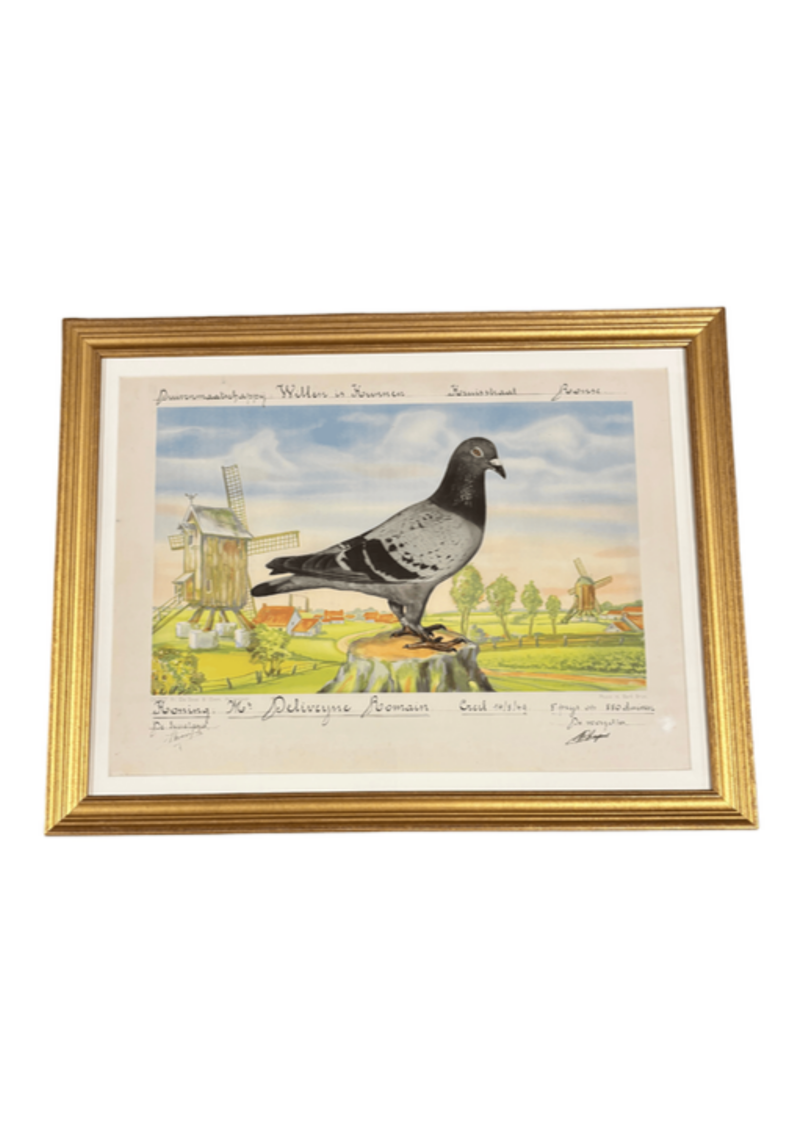 Racing Pigeons Windmill Print