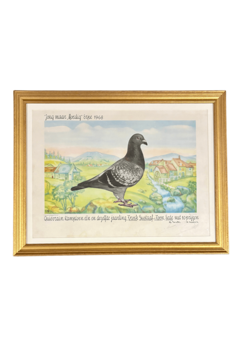 Racing Pigeons Prints