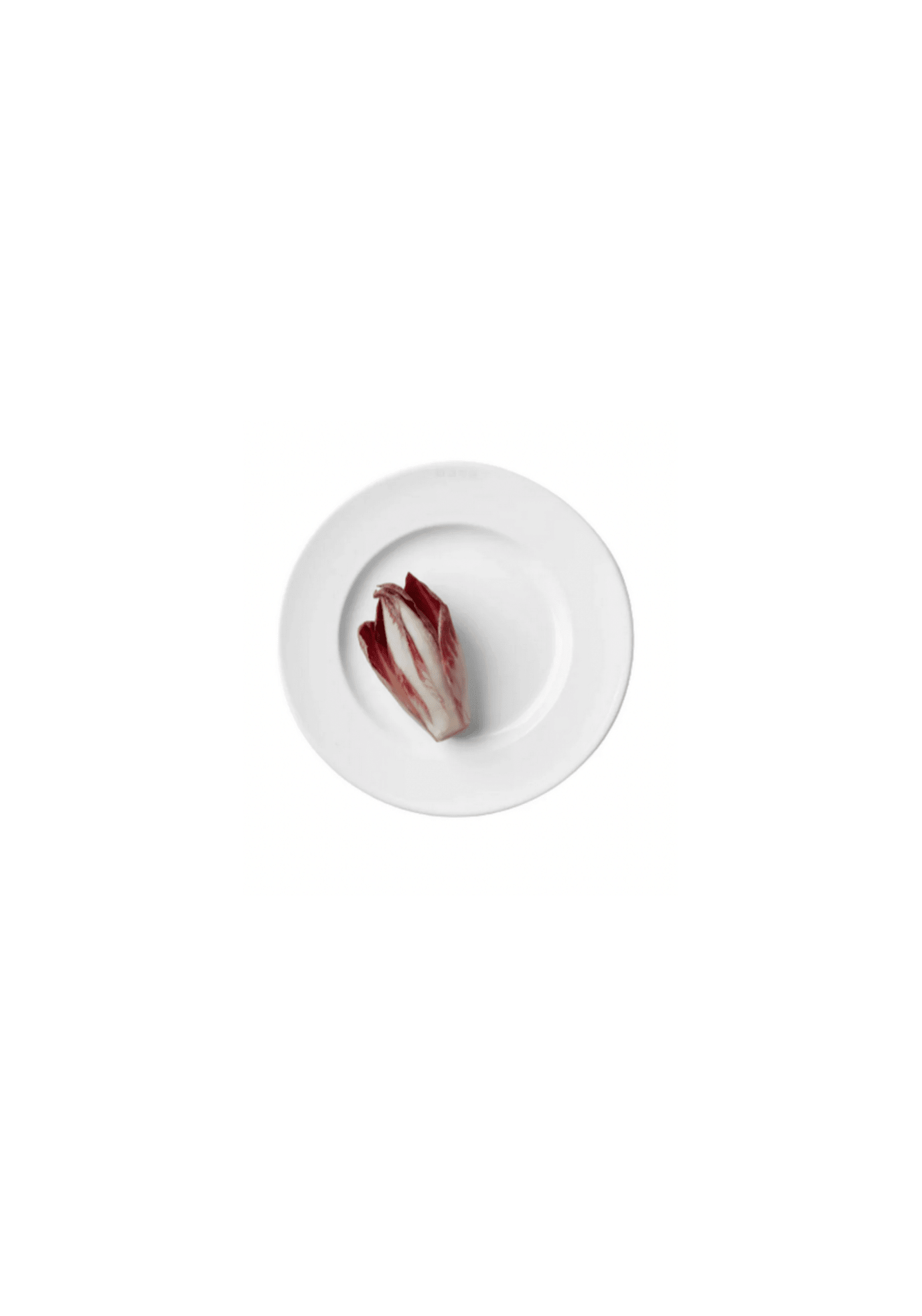 1508 Salad/Dessert Plate (set of 4)