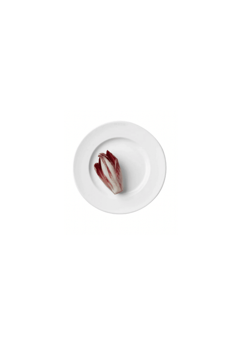 1508 Salad/Dessert Plate (set of 4)