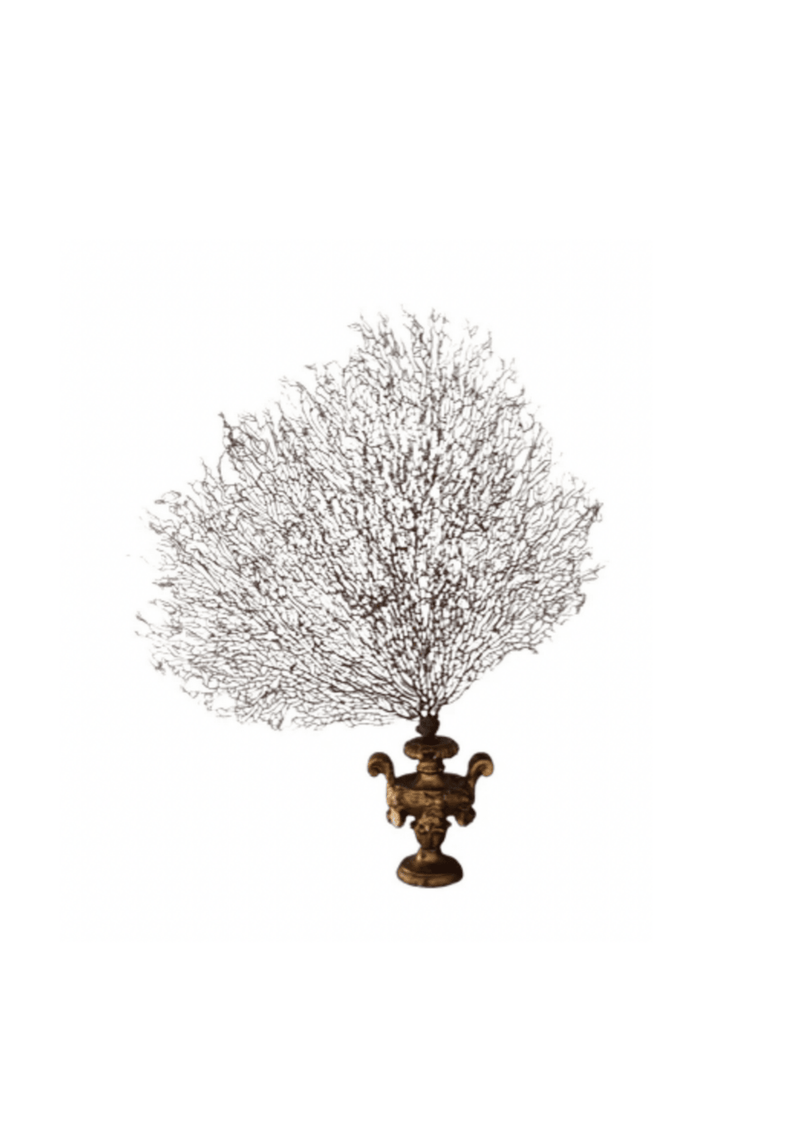 18th C Gold Palm Holder with Gorgonia