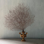 18th C Gold Palm Holder with Gorgonia