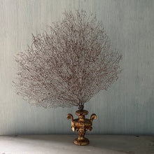 18th C Gold Palm Holder with Gorgonia