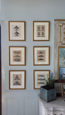 19th C French Culinary Prints