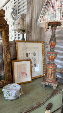 Antique French Shell Print , with Block Print Border