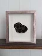 Framed Antique Belgian Chocolatier Chick Mold