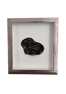 Framed Antique Belgian Chocolatier Chick Mold