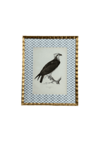 Antique Bird Print Matted On Wicker Patterned Wallpaper