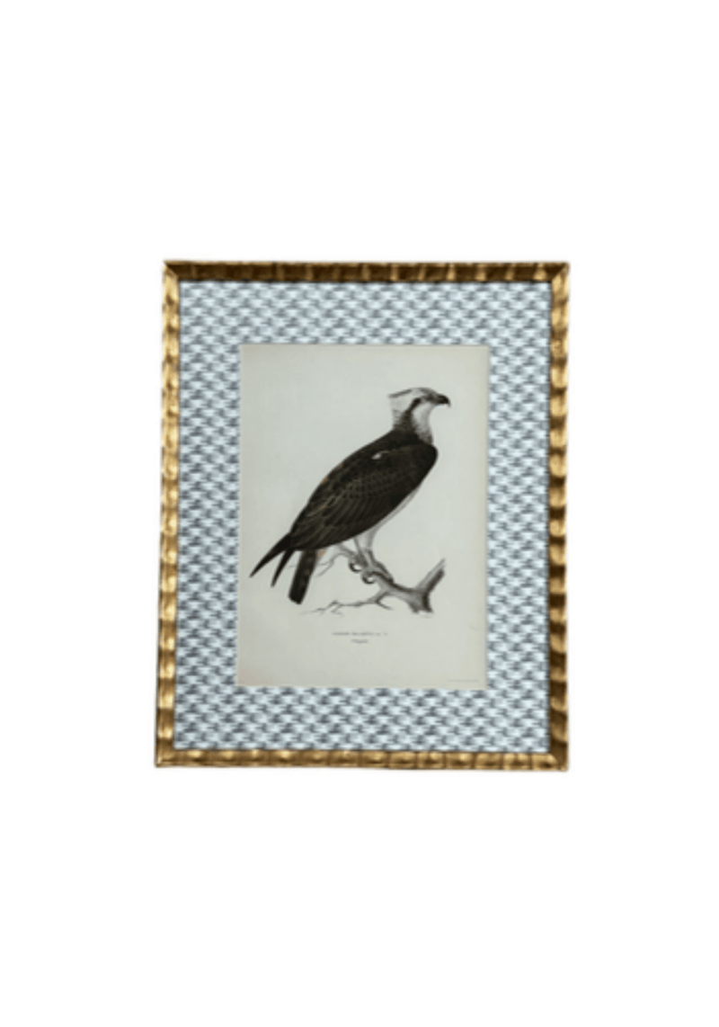 Antique Bird Print Matted On Wicker Patterned Wallpaper
