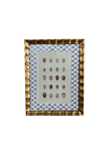 Framed Antique Egg Print With Wicker Patterned Wallpaper Mat