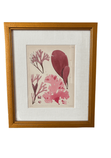 Antique English Seaweed Print
