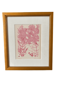 Antique English Seaweed Print
