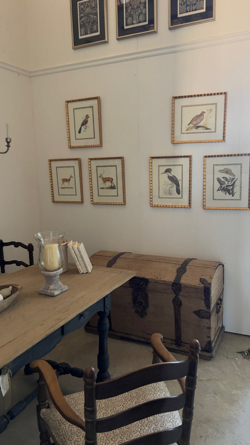 Antique French Butterfly Print, with Block Print Border