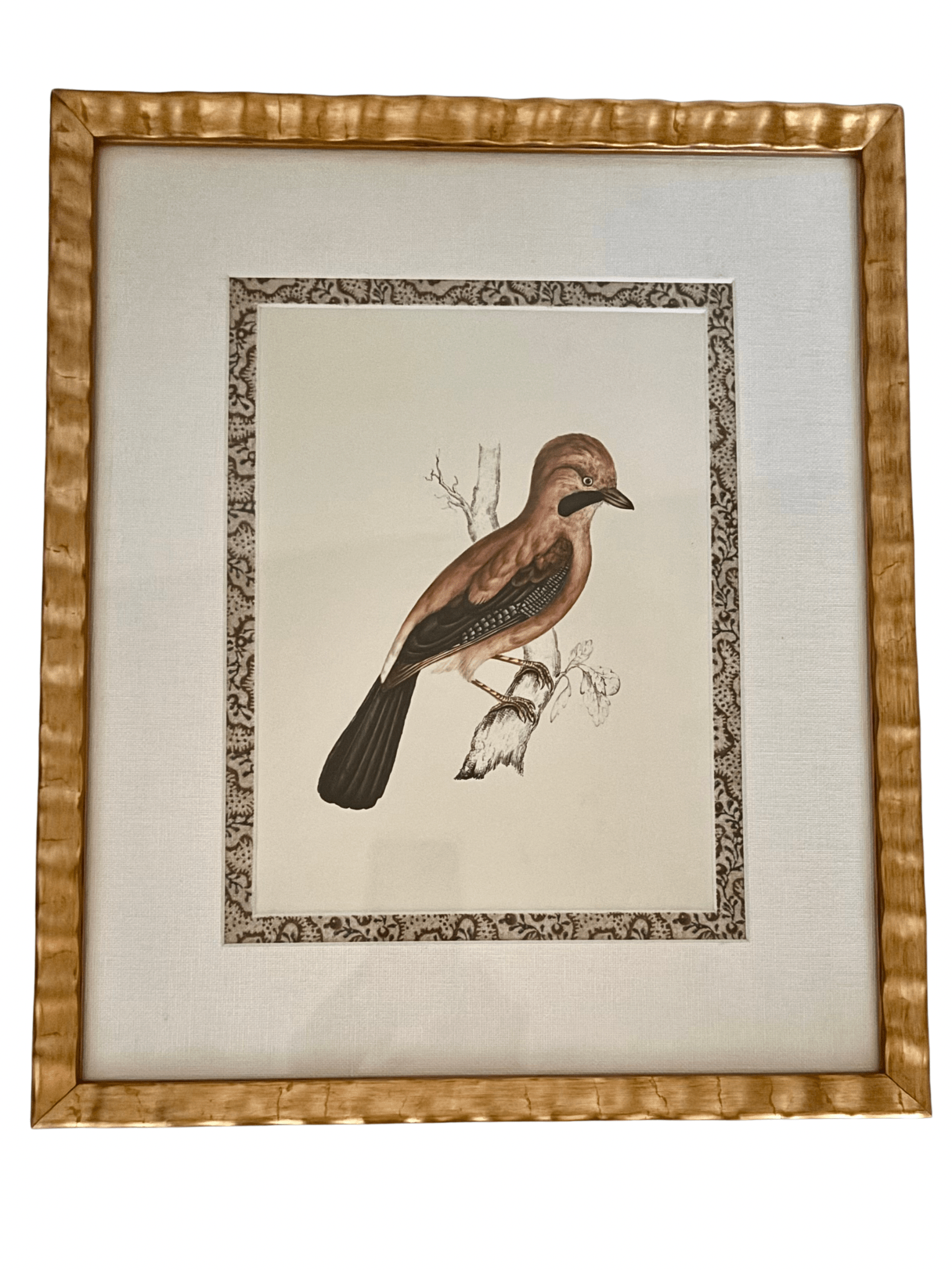Antique French Grouse Print, with Block Print Border