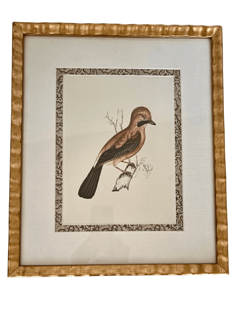 Antique French Grouse Print, with Block Print Border