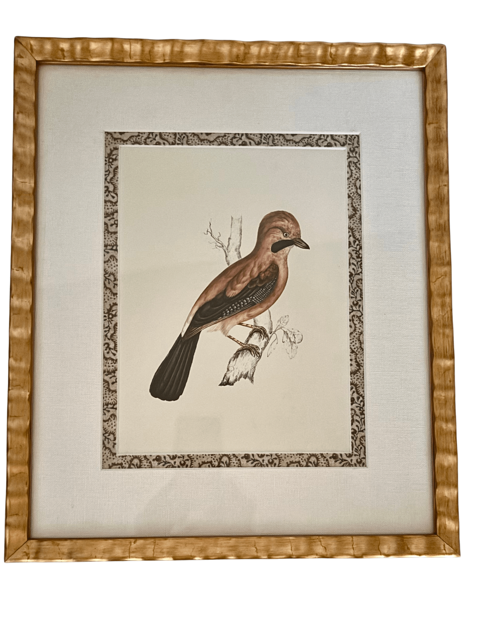 Antique French Grouse Print, with Block Print Border