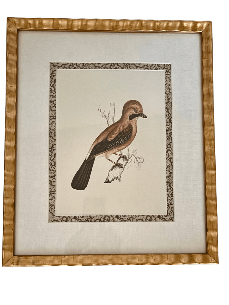 Antique French Grouse Print, with Block Print Border
