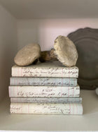 Stack of antique French ledger print book covers in pale blue-green with handwritten script, topped with two small pale stone or fossil-like decorative objects, on a shelf with a blurred metal charger plate behind.