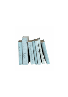 Antique French Ledger Print Book Covers (set of 6)