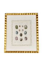 Antique French Shell Print , with Block Print Border