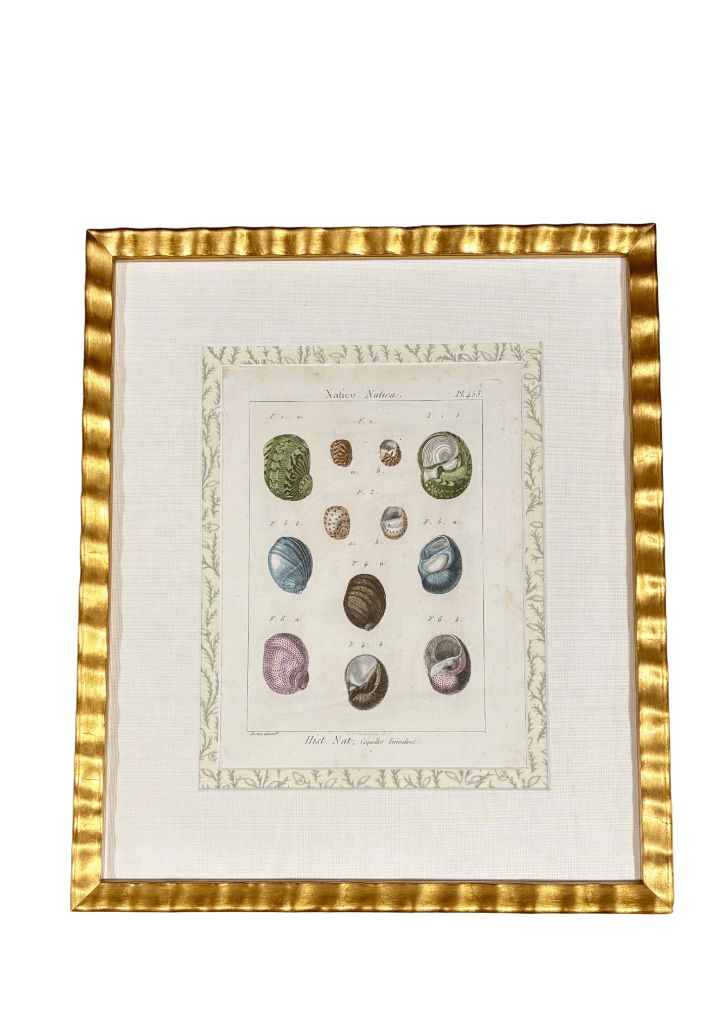 Antique French Shell Print , with Block Print Border