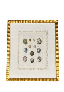 Antique French Shell Print , with Block Print Border