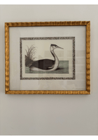 Antique French Shore Bird, with Block Print Border