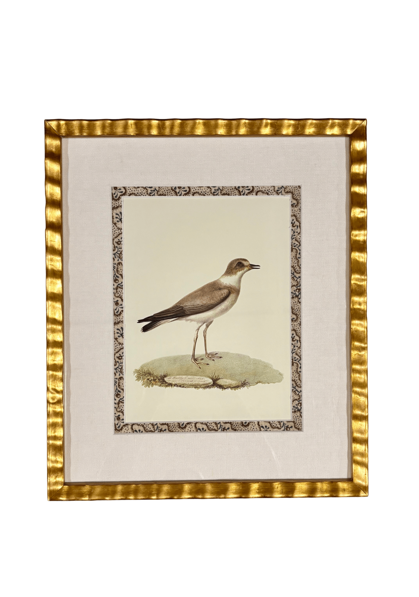 Antique French Shore Bird, with Block Print Border