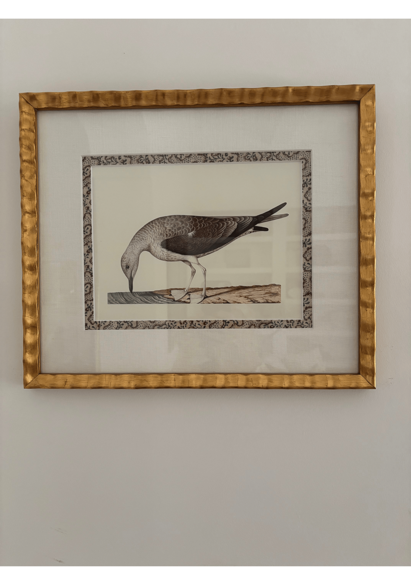 Antique French Shore Bird, with Block Print Border