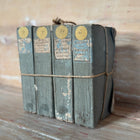 Antique Histoire de France Books, (sets of 4)