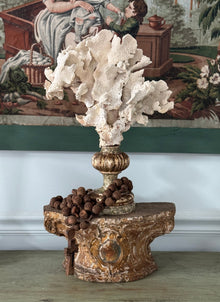 Coral Mounted on Antique Fragment