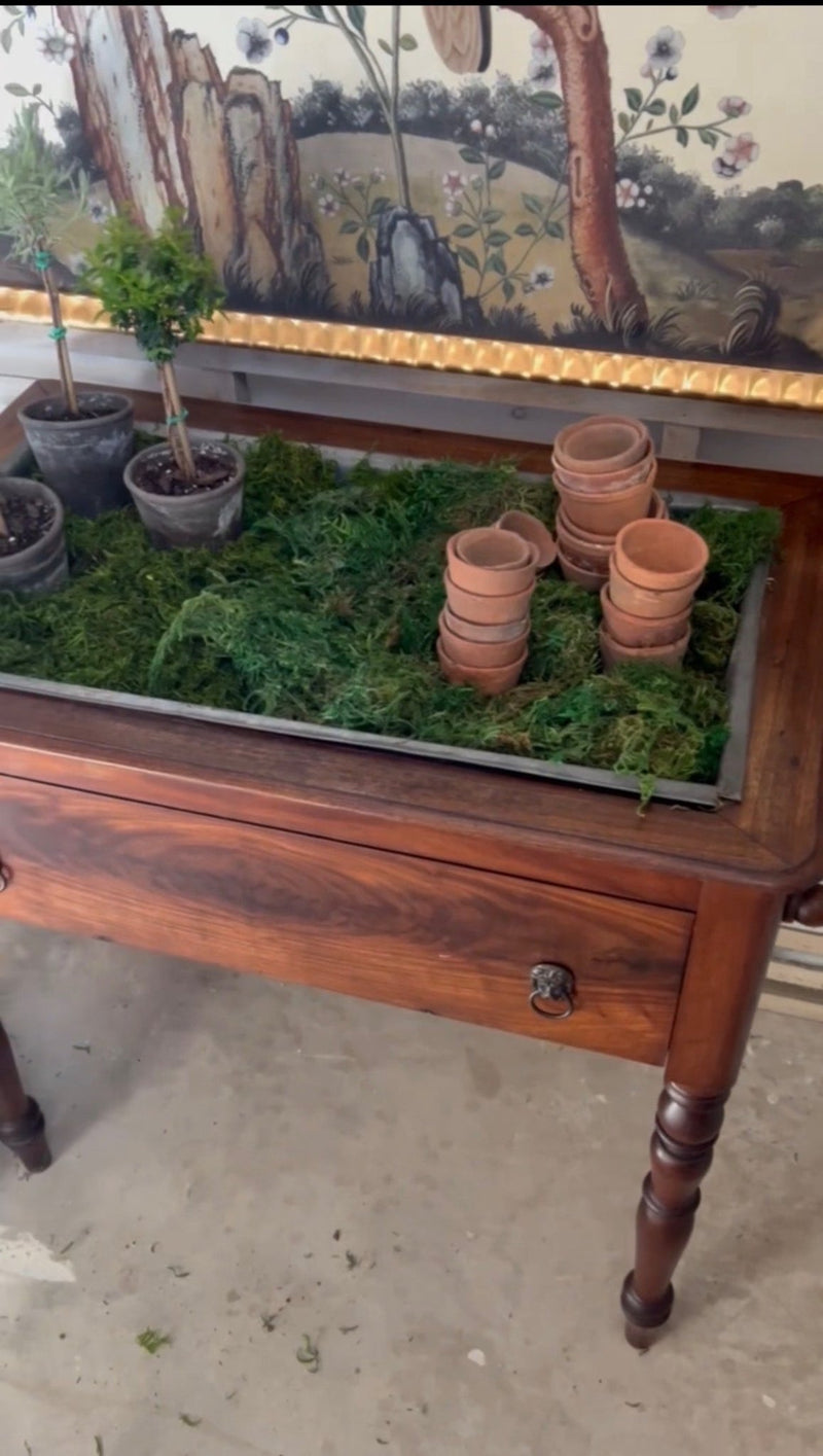 European Antique Terracotta Seedling Pots