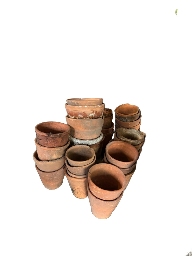 European Antique Terracotta Seedling Pots
