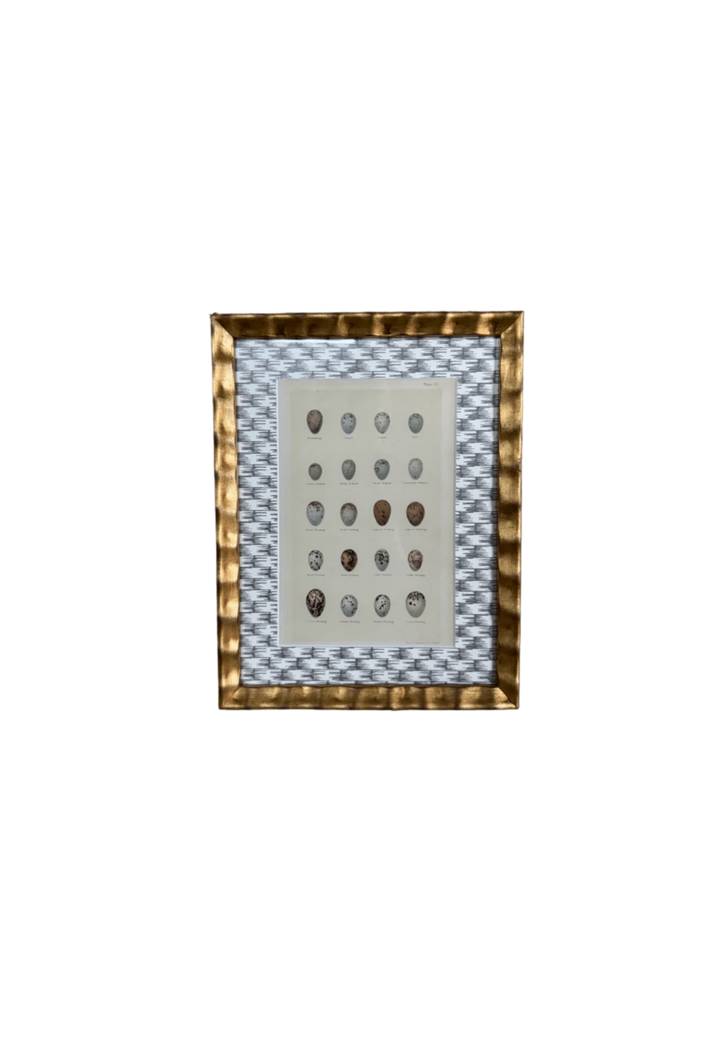 Framed Antique Egg Print with Wicker-Patterned Wallpaper Mat