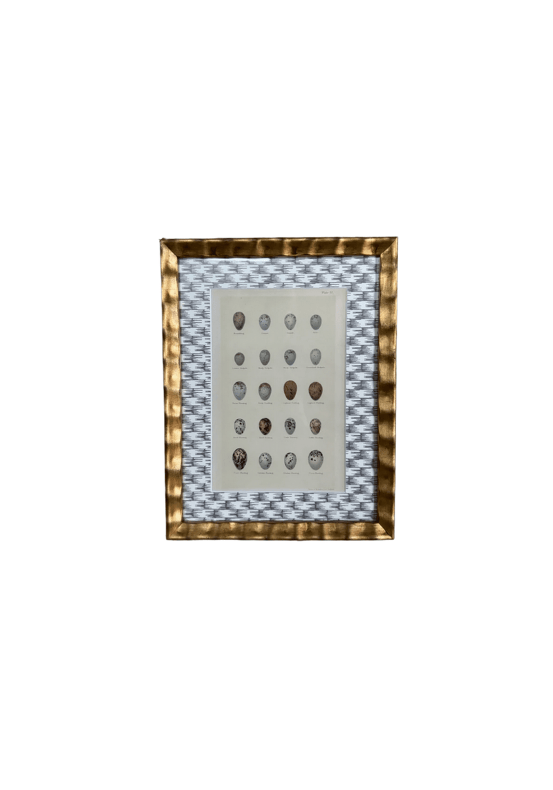 Framed Antique Egg Print with Wicker-Patterned Wallpaper Mat