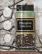 Close-up of a painted apothecary jar labeled Phosphas Calcicus with three cameo medallions on branch-patterned fabric in the shadowbox