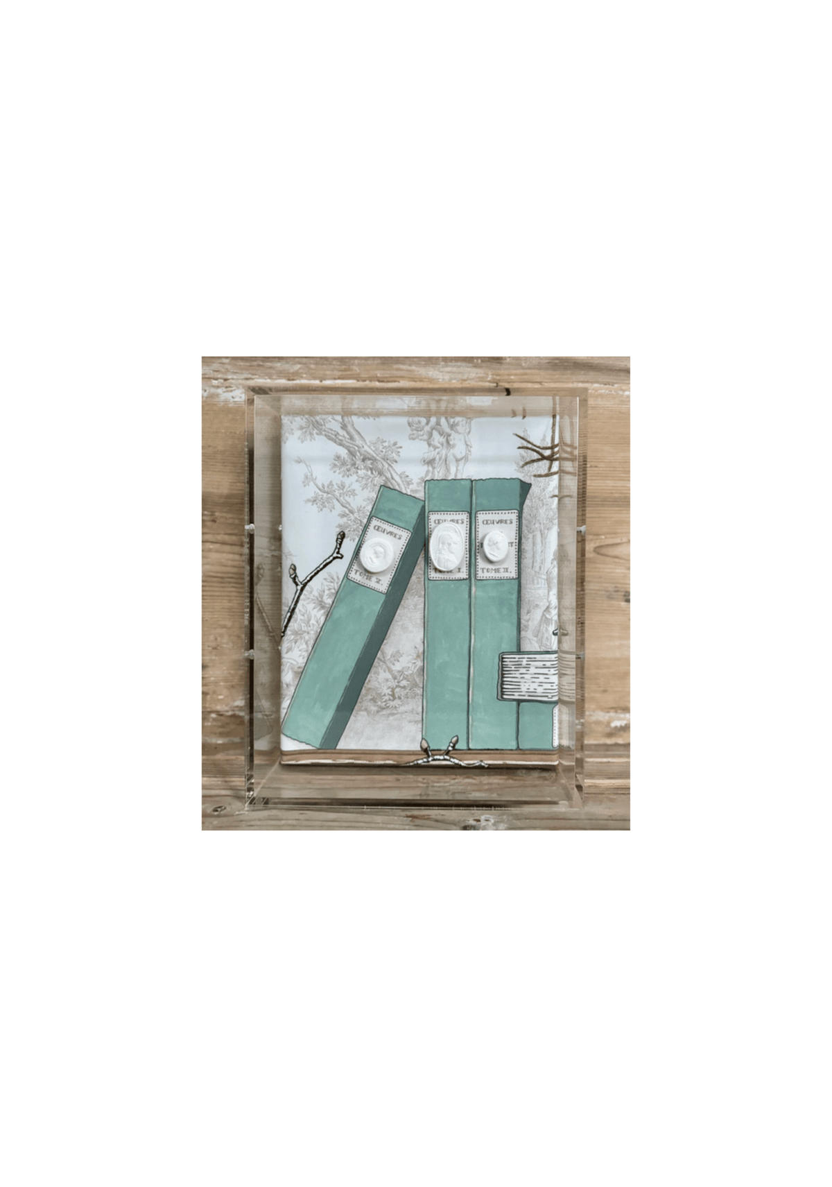 Shadowbox with three sage-green faux book spines and plaster intaglio medallions mounted on toile fabric in an acrylic frame