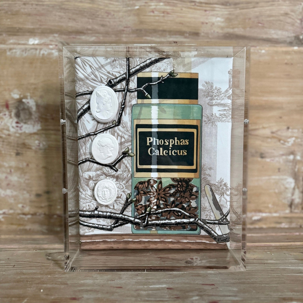 Angled view of the framed shadowbox showing the acrylic case edge, painted apothecary jar, and cameo medallions