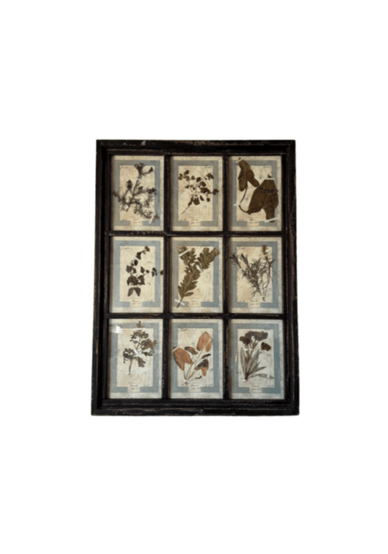 French Pressed Botanical Grouping In Distressed Frame