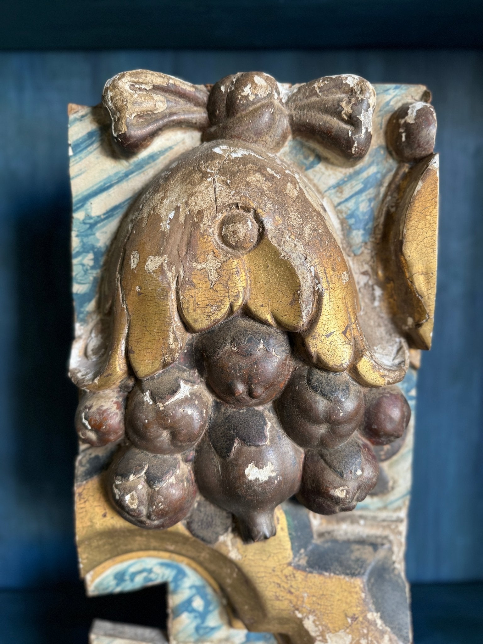 Fruit Fragment
