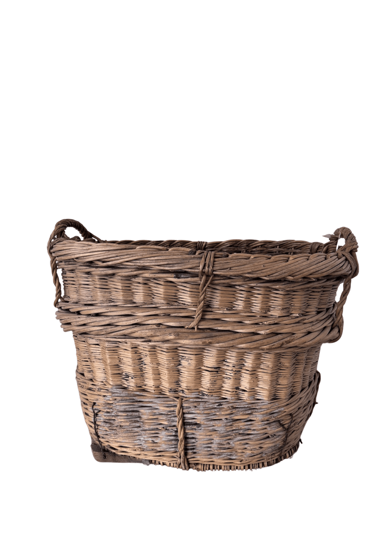 Grape Harvest basket