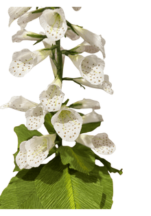 Hand-crafted Foxglove Paper Flower in Pot