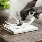Hand-Embellished Decorative Antler (Large)
