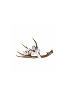 Hand-Embellished Decorative Antler (Large)