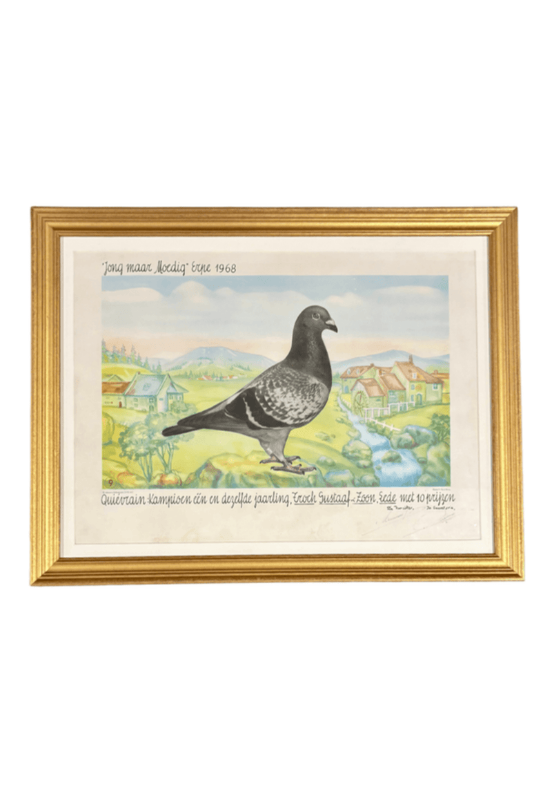 Racing Pigeons Prints