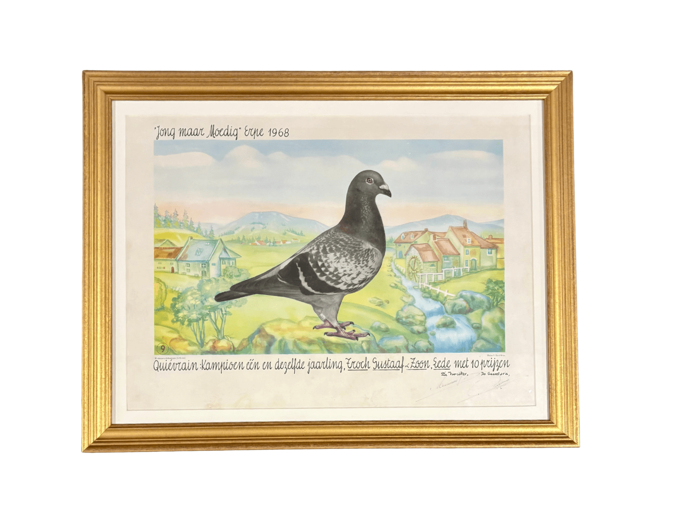Racing Pigeons Prints