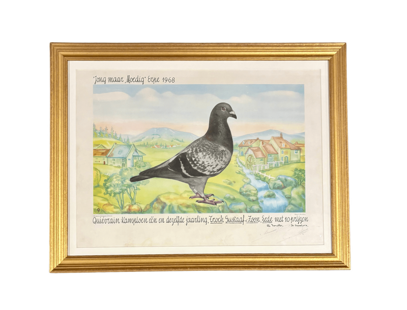Racing Pigeons Prints