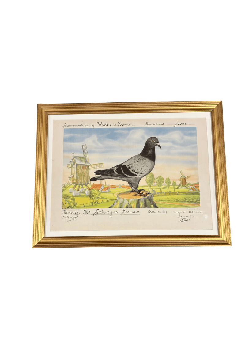 Racing Pigeons Windmill  Print