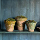 Vintage Scalloped Terracotta Pot with Green Glazed Detail